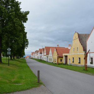 Holasovice