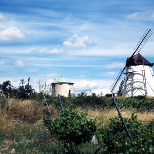 Windmühle Retz