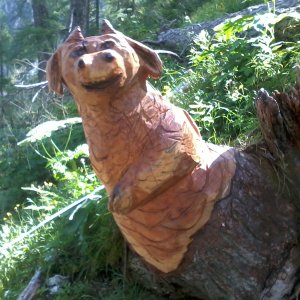 Lindwurm vom Tappenkarsee