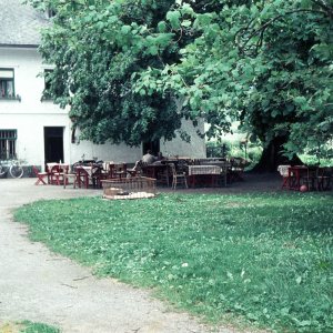 Gastgarten Aigen im Ennstal 1963