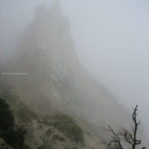 Mystische Kreideklippen Møns Klint