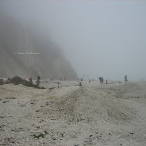 Mystische Kreideklippen Møns Klint,