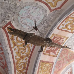 das Krokodil auf Burg Forchtenstein