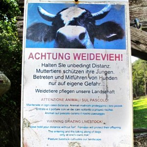 Warnung Weidevieh