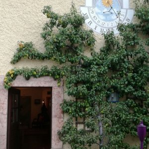 Elixhausen