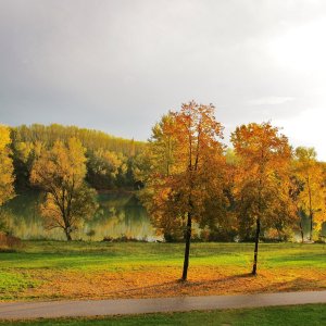 Herbstabend am Donausee