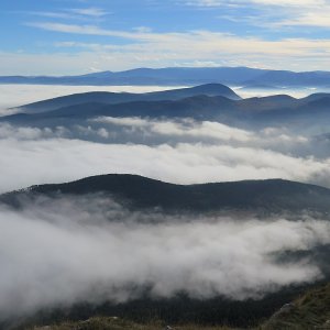 Blick von der Großen Kanzel in  und über das Nebelmeer