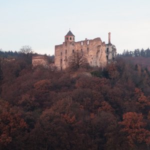 Ruine Hohenegg