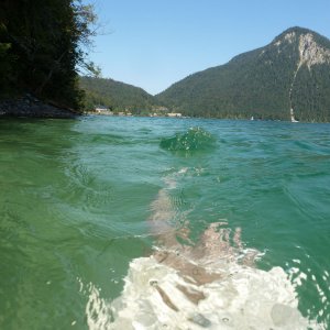 vor der Wanderung noch schnell in den Walchensee.