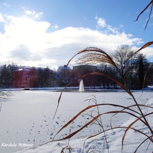 Stadtpark