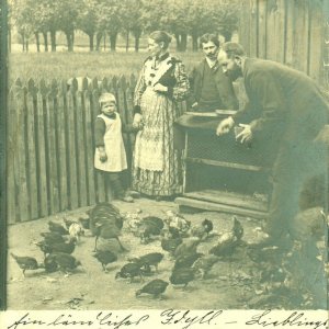 Hühnerhaltung 1903