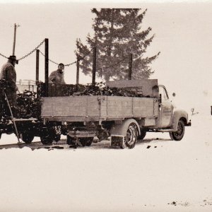 Kohlen verladen