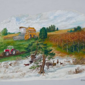 Traktor und Mähdrescher