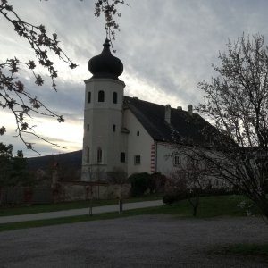 Freigut Thallern in Gumpoldskirchen