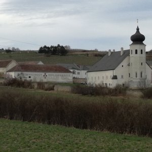 Freigut Thallern in Gumpoldskirchen