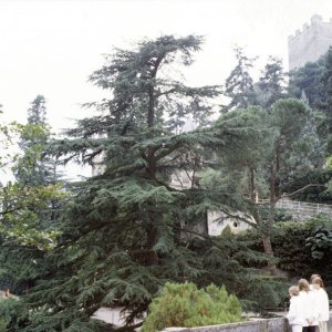 Tappeinerweg Meran