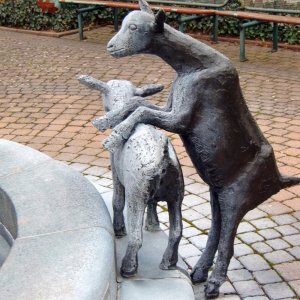 Geißenbrunnen,Detail