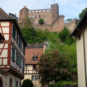 Burgruine Wertheim/Main