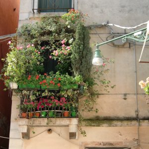 Venedig - Fenstergarten oder Gartenfenster?