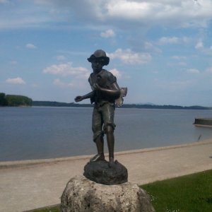 Petrijünger