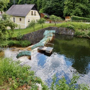 Badesee Waldhausen/Staumauer