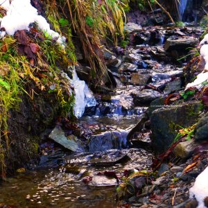 Bachwasser in Stolberg/Südharz.
