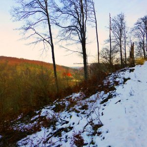 Blick zu den nördlichen Buchenwäldern. Wanderung zur Lutherbuche.