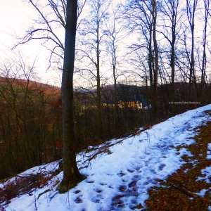 Wanderung zur Lutherbuche in Stolberg/Südharz.