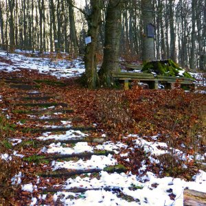 vor der Lutherbuche in Stolberg/Südharz.