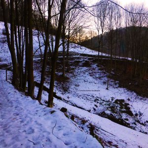 abendlicher Rückweg von der Lutherbuche in Stolberg.