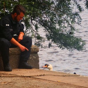 Ruhephase an der Außenalster während des G20 Gipfels in Hamburg.