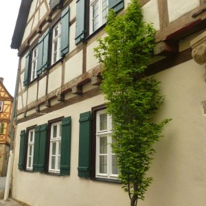 Das Geburtshaus des Johann Christoph Friedrich von Schiller in Marbach.