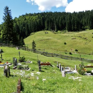 Friedhof Neuhaus