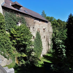 Burg Kreuzen - Burggraben