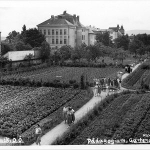 Vöcklabruck Pädagogium, Gartenanlage