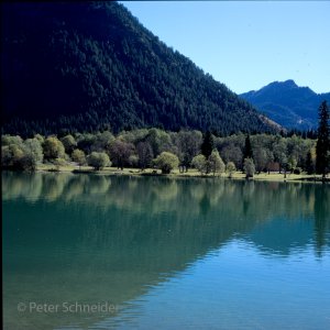 Am Heiterwangersee