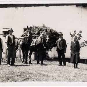 Bauernporträt mit zwei Pferden