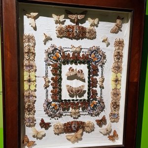 Insektengemälde