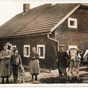 Bauernfamilie und Ochsengespann