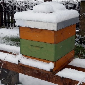 Winterschlaf
