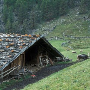 Schindeldach mit Schwerstangen und Schwersteinen
