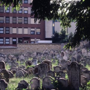 Jüdischer Friedhof Budapest