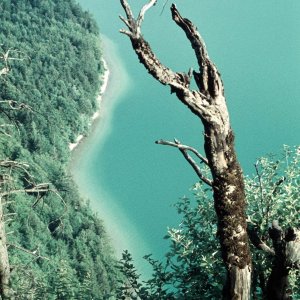 Blick vom Falkenstein auf den Wolfgangsee