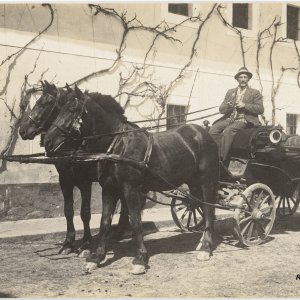 Kutsche, Fotograf Rosalia Gruber Wels