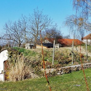 Keller im Garten