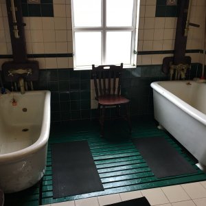 Medium 'Seegras-Bad in Irland' in der Kategorie 'Wasser div.'