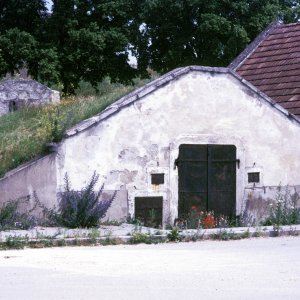 Kellergasse Breitenbrunn am Neusiedler See