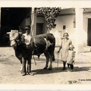 Bauernfamilie mit Kuh