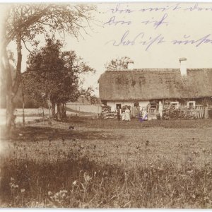 Bauernhaus mit Strohdach in Eferding