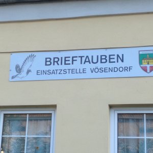 Brieftauben